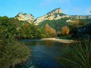 Tudanca