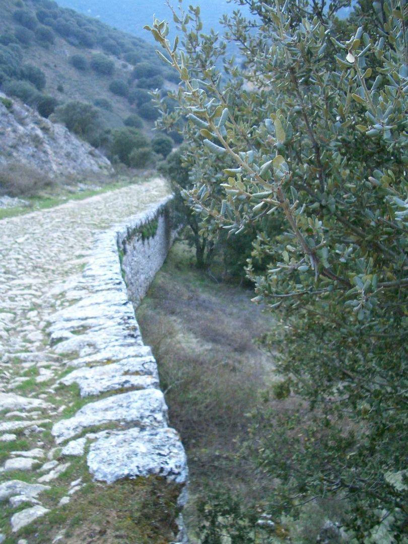 Camino del Pescado