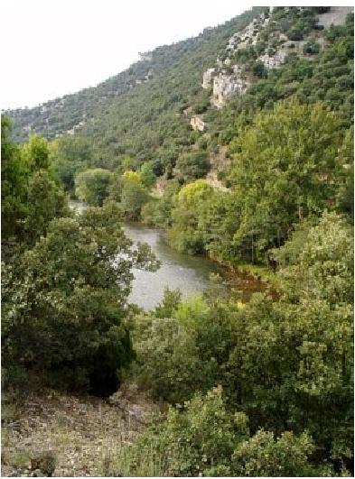 Ruta del Cañón del Ebro - Tudanca de Ebro